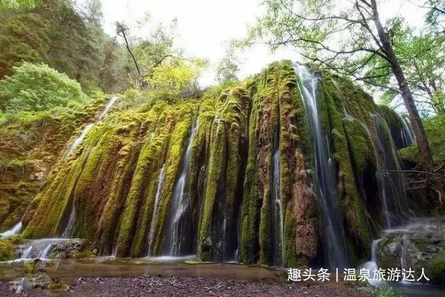 专业知识问答网 - 答疑解惑,尽在为什么单词总是记不住网